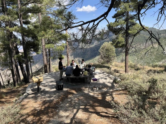 mtlemmon