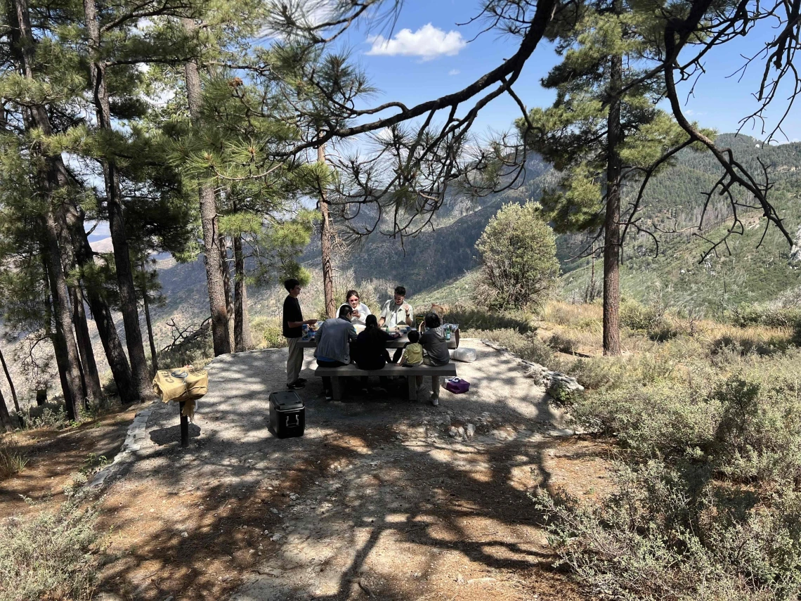 mtlemmon