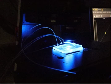organs on chips